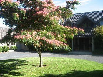 Heron Hill Hotel Kerikeri Exterior foto